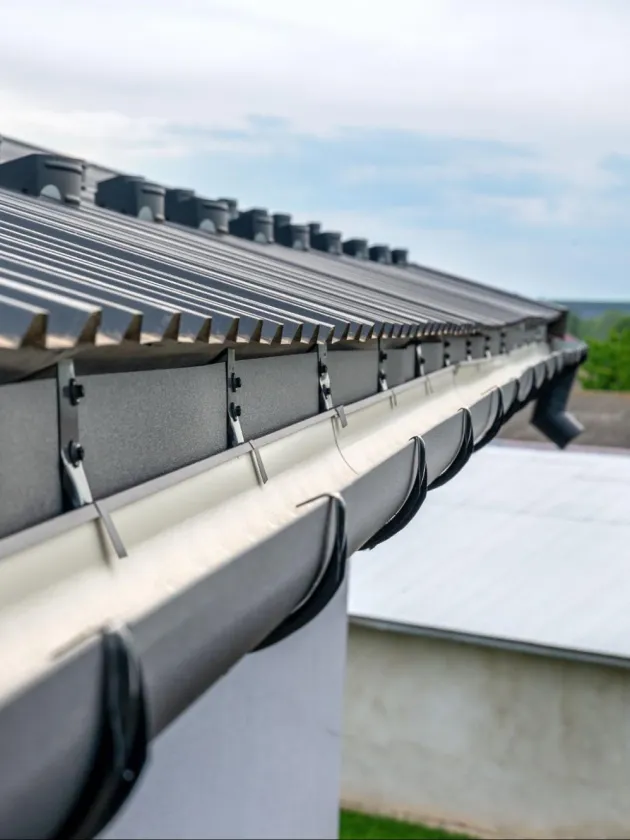 Поставил и забыл: как выбрать водосточную систему для загородного дома